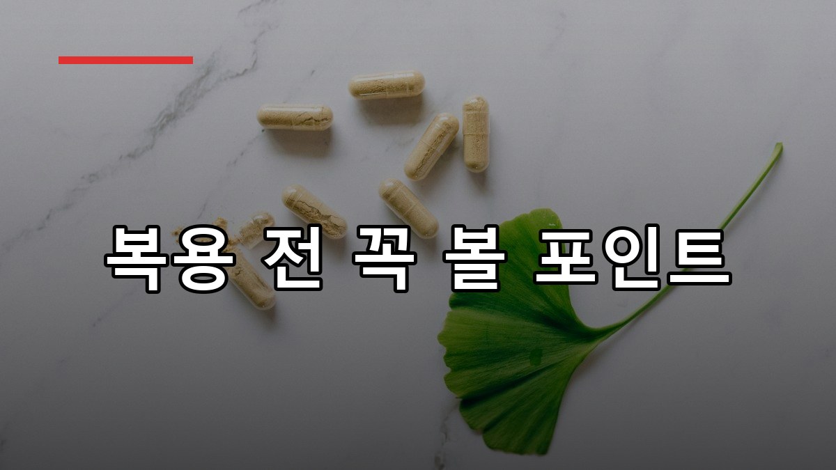 은행잎 추출물 효능·복용법·부작용 2026 핵심 가이드