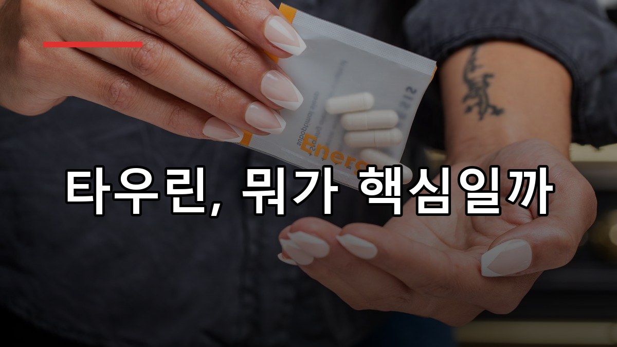타우린 효능·복용법·부작용 2026 한눈에 정리
