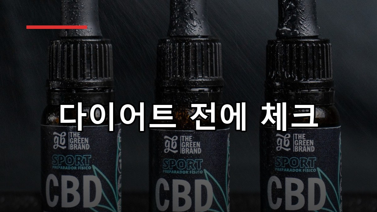 L-카르니틴 효능·복용법·부작용 2026 핵심 가이드