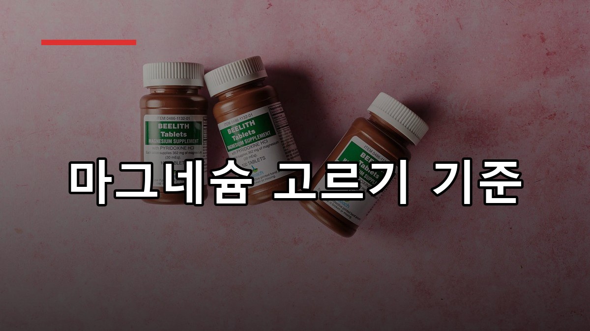 마그네슘 종류별 차이와 흡수율 비교 가이드