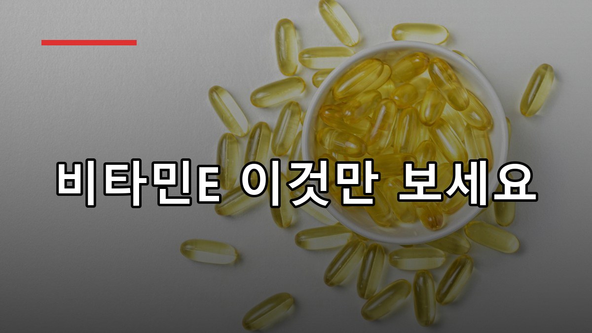 비타민E 효능부터 복용법까지 2025 꼭 알아야 할 핵심