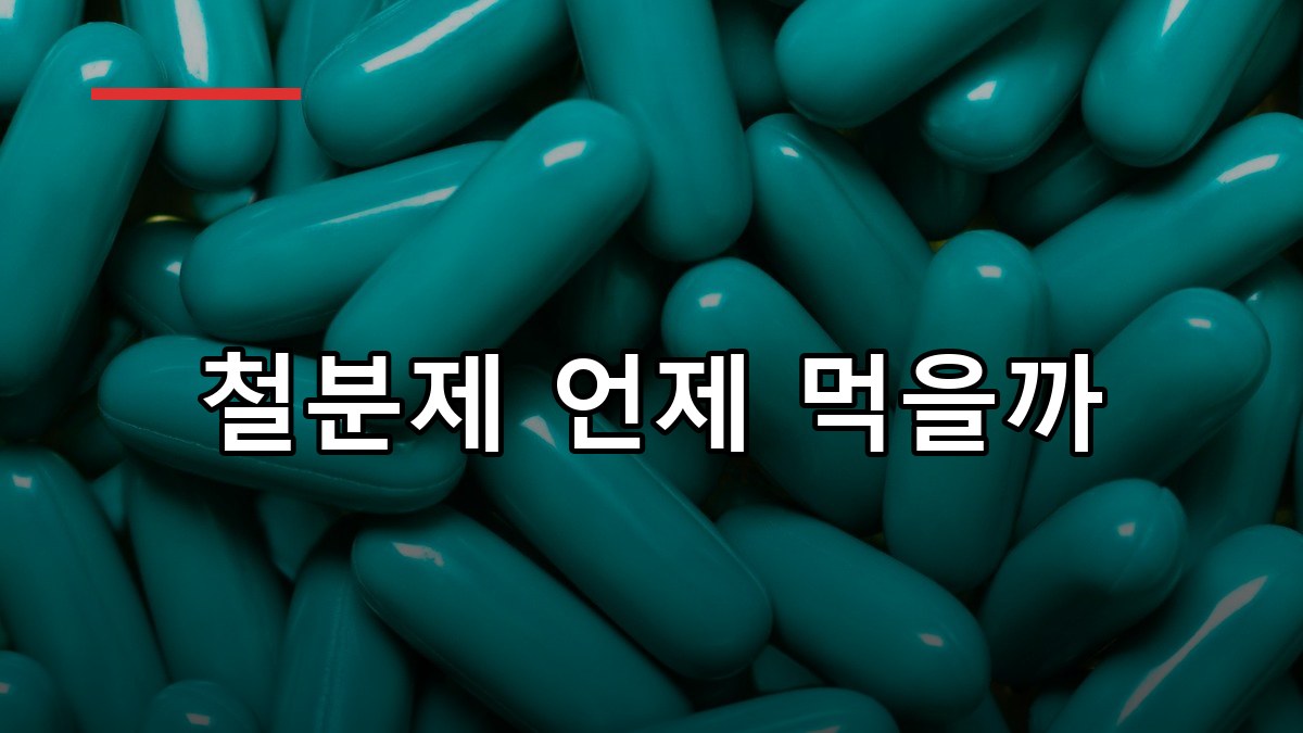 철분제 복용 시점과 철분 부족 증상 정리