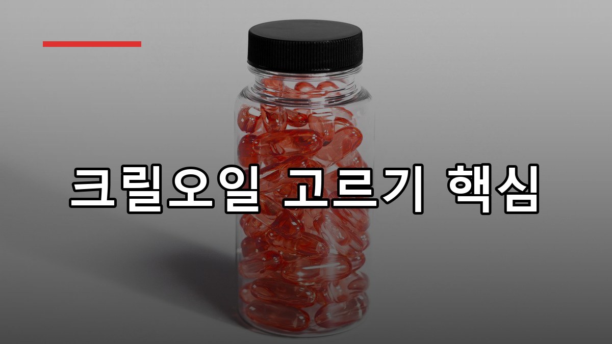 크릴오일 효능·복용법·부작용 2026 핵심 정리