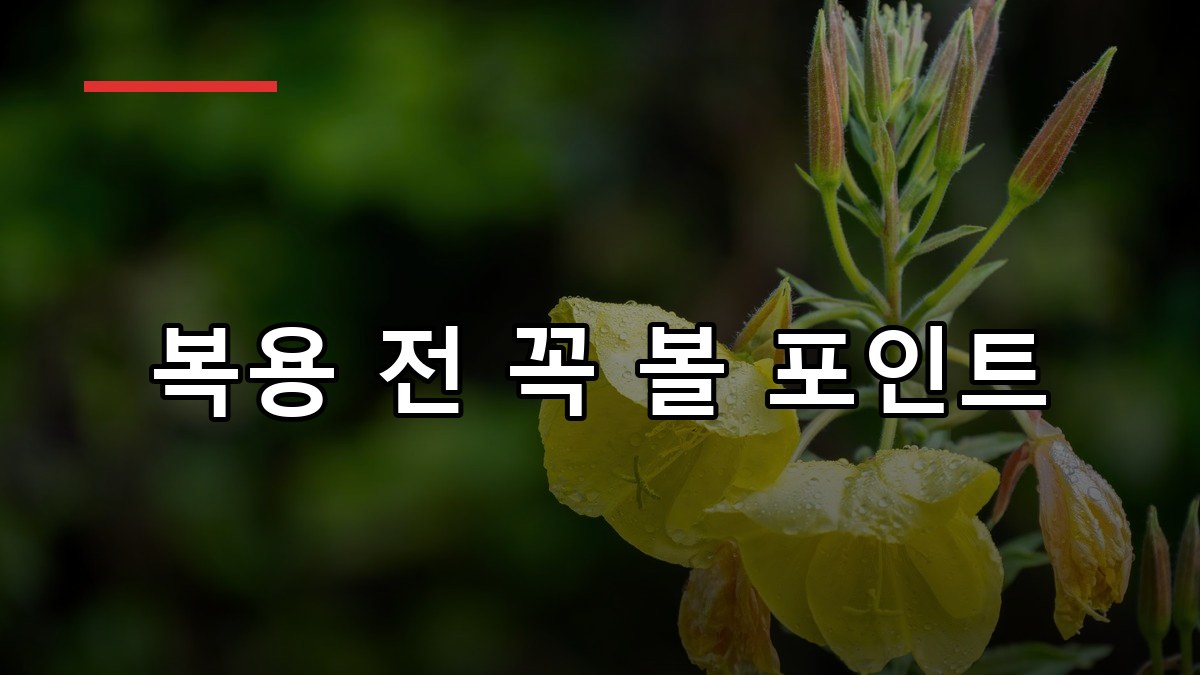 감마리놀렌산 효능·복용법·부작용까지 2026 핵심정리