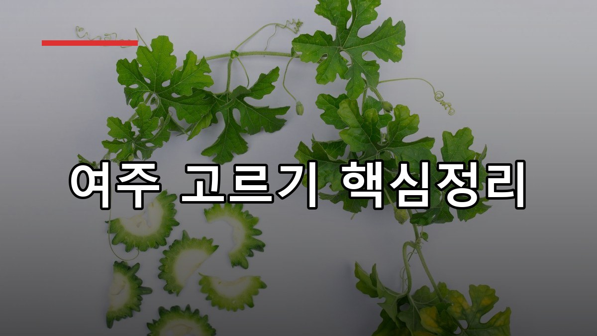 여주 효능·복용법·부작용 2026 꼭 알아둘 핵심