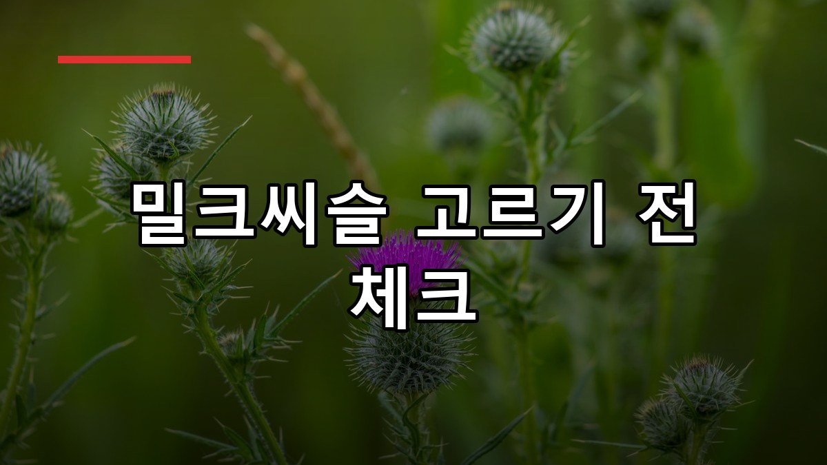 밀크씨슬 효능과 복용 시 주의사항 정리