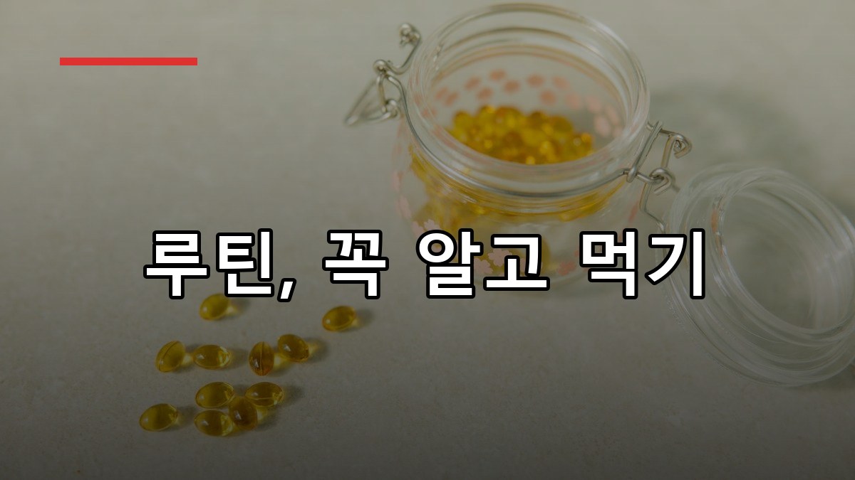 루틴 효능·복용법·주의사항 2026 한 번에 정리