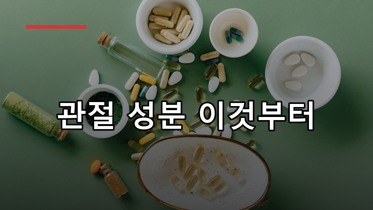 관절 영양제 추천 2026 성분별 고르는 방법과 복용 팁