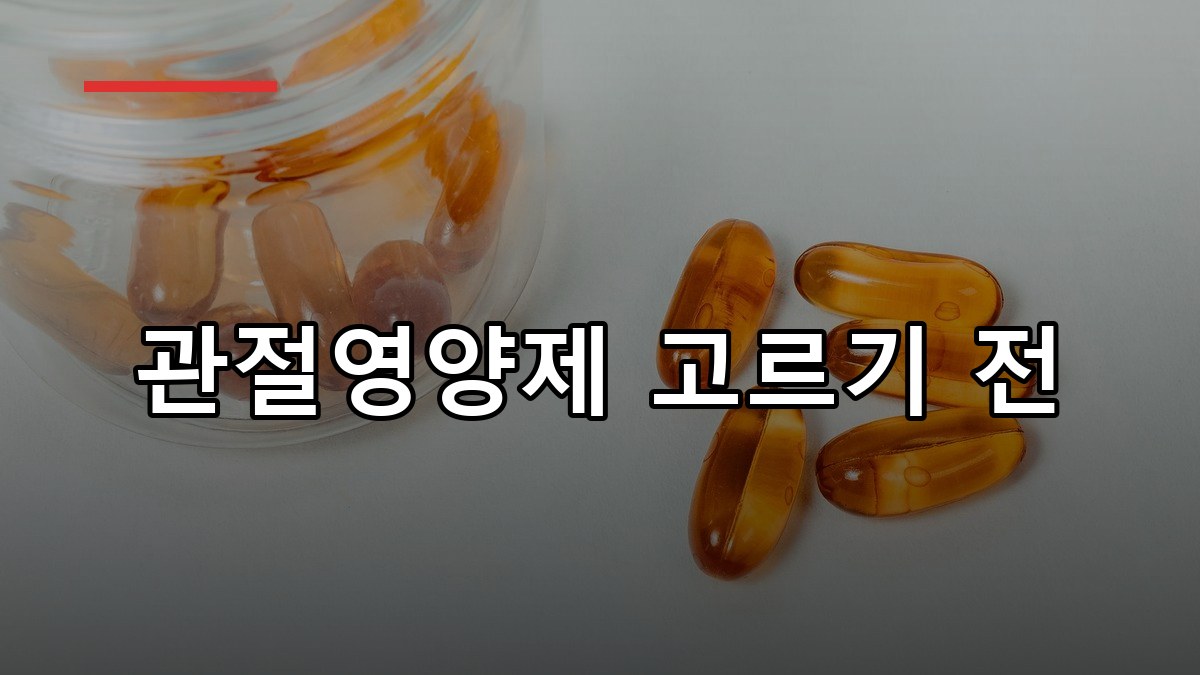 프로테오글리칸 효능부터 복용법까지 2026 핵심 가이드