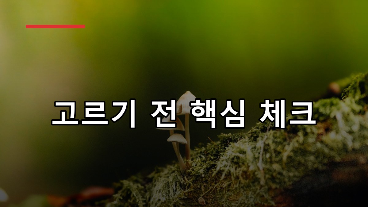 상황버섯 효능부터 복용법까지 2026 꼼꼼 가이드