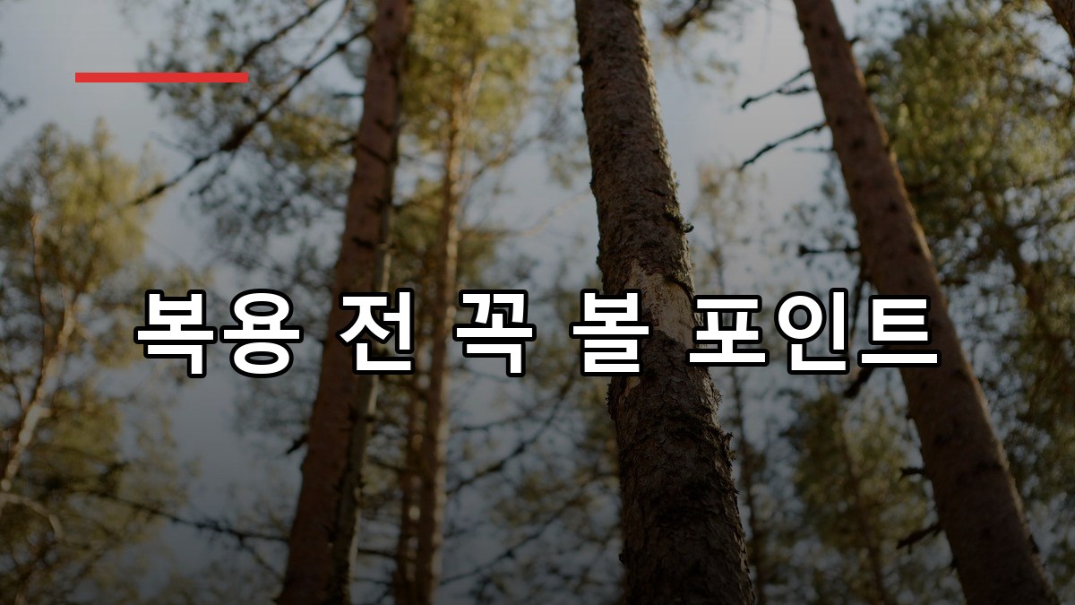 피크노제놀 효능·복용법·부작용까지 한눈에 보는 가이드