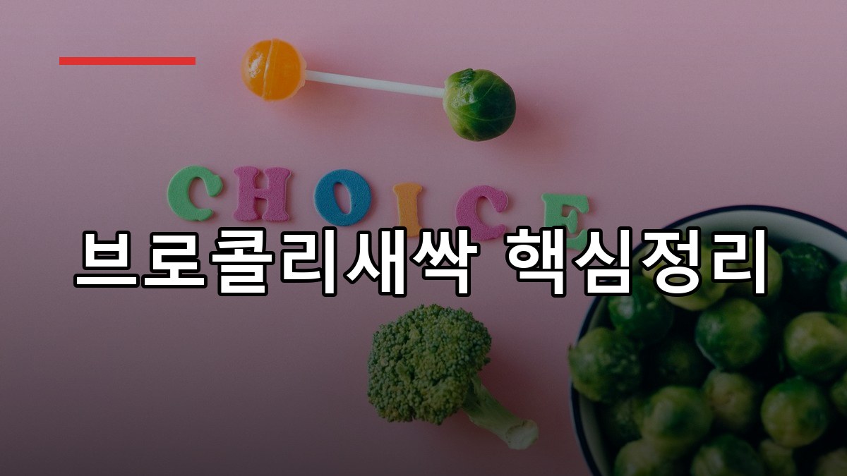 설포라판 효능·복용법·부작용 한눈에 정리 2026