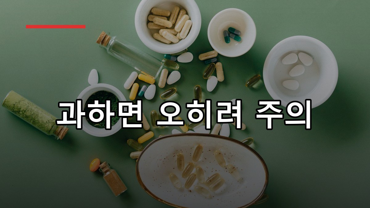 망간 효능·부작용·복용법 2026 꼭 알아야 할 핵심