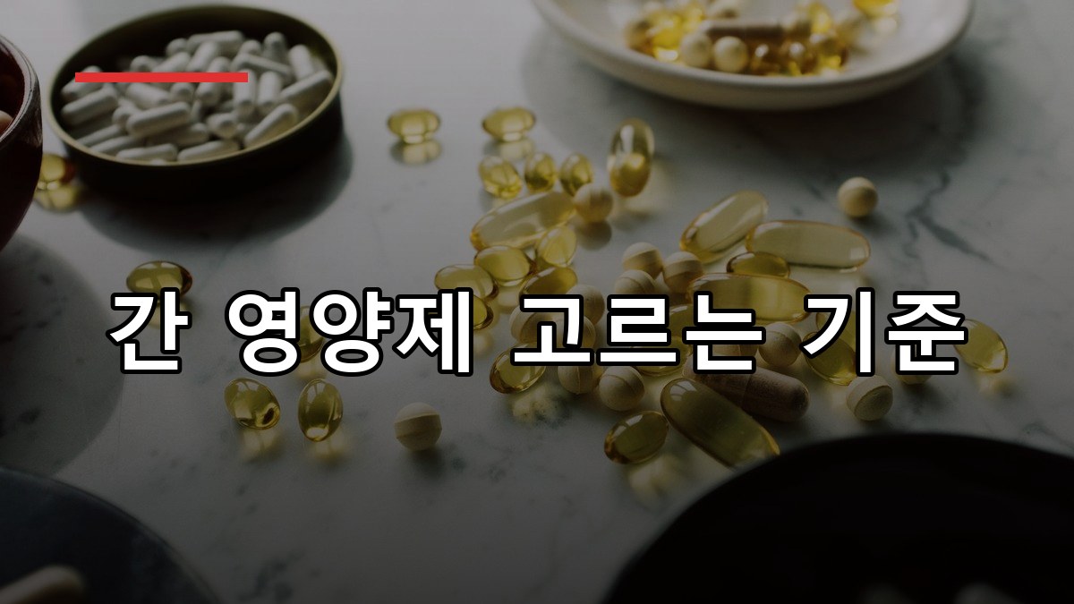 간 영양제 추천 2026 성분별 선택법과 복용 팁