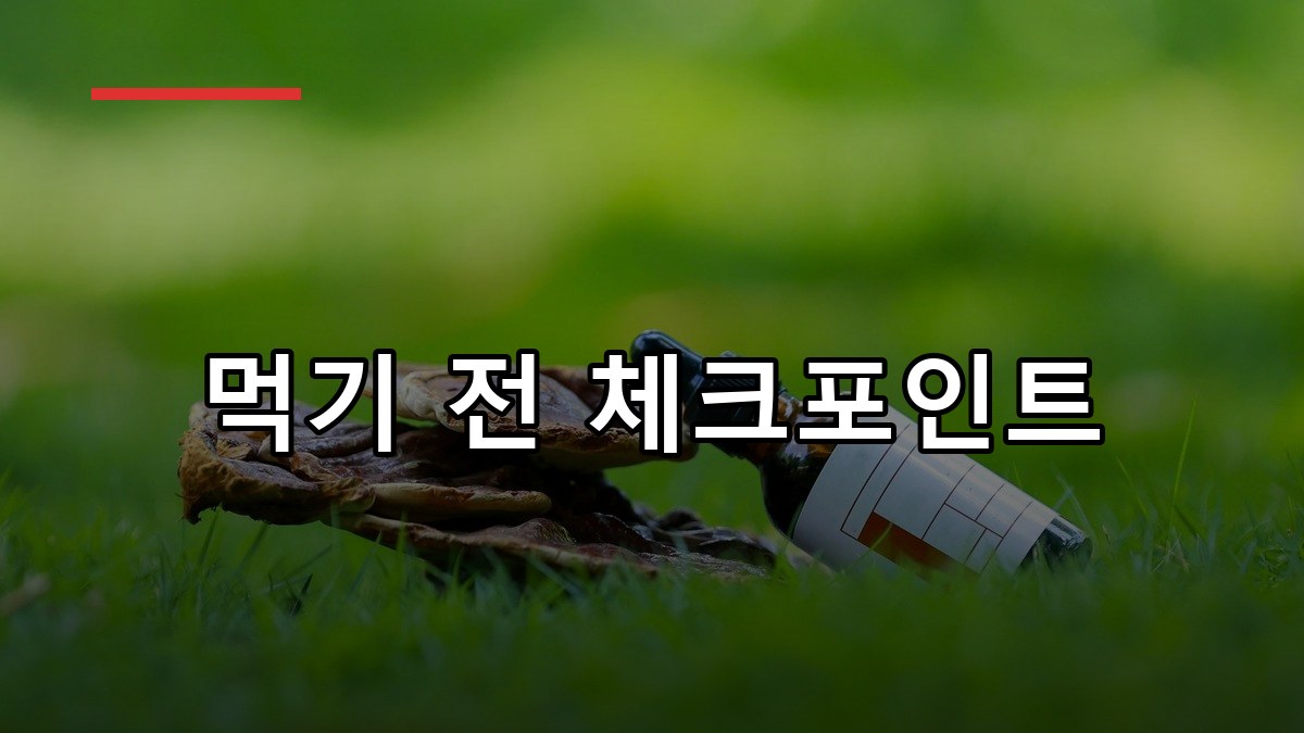 차가버섯 효능·복용법·주의사항 2026 한눈에 정리