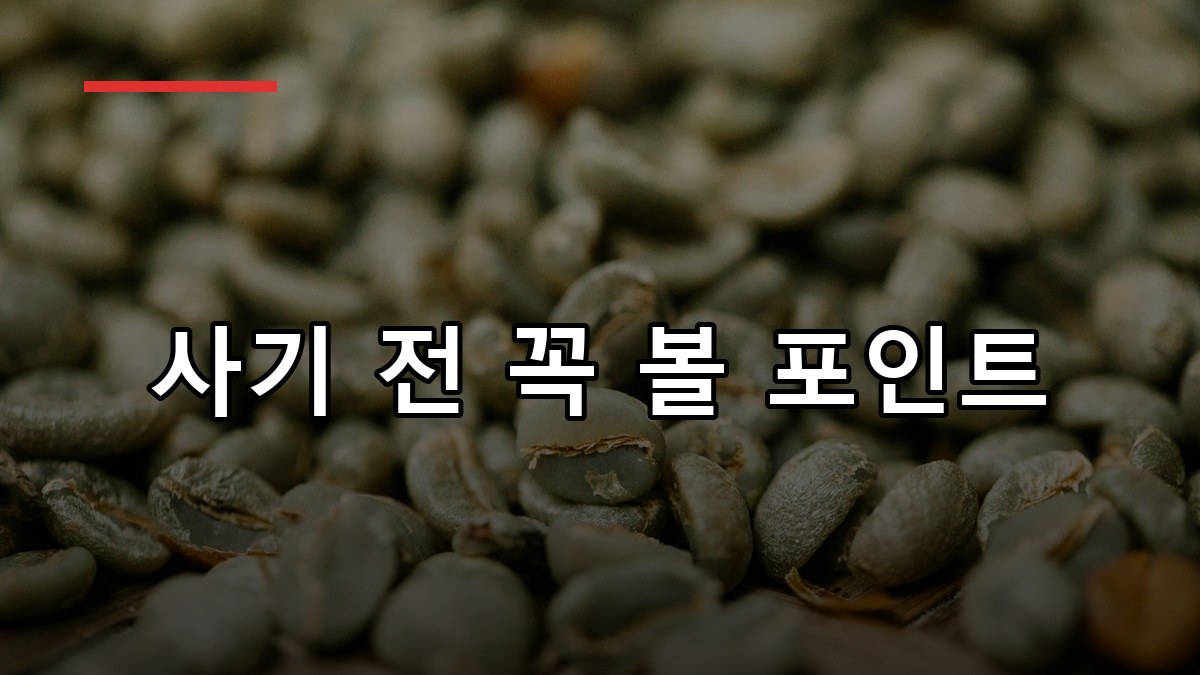 그린커피빈 효능·부작용·복용법 2026 꼼꼼 가이드