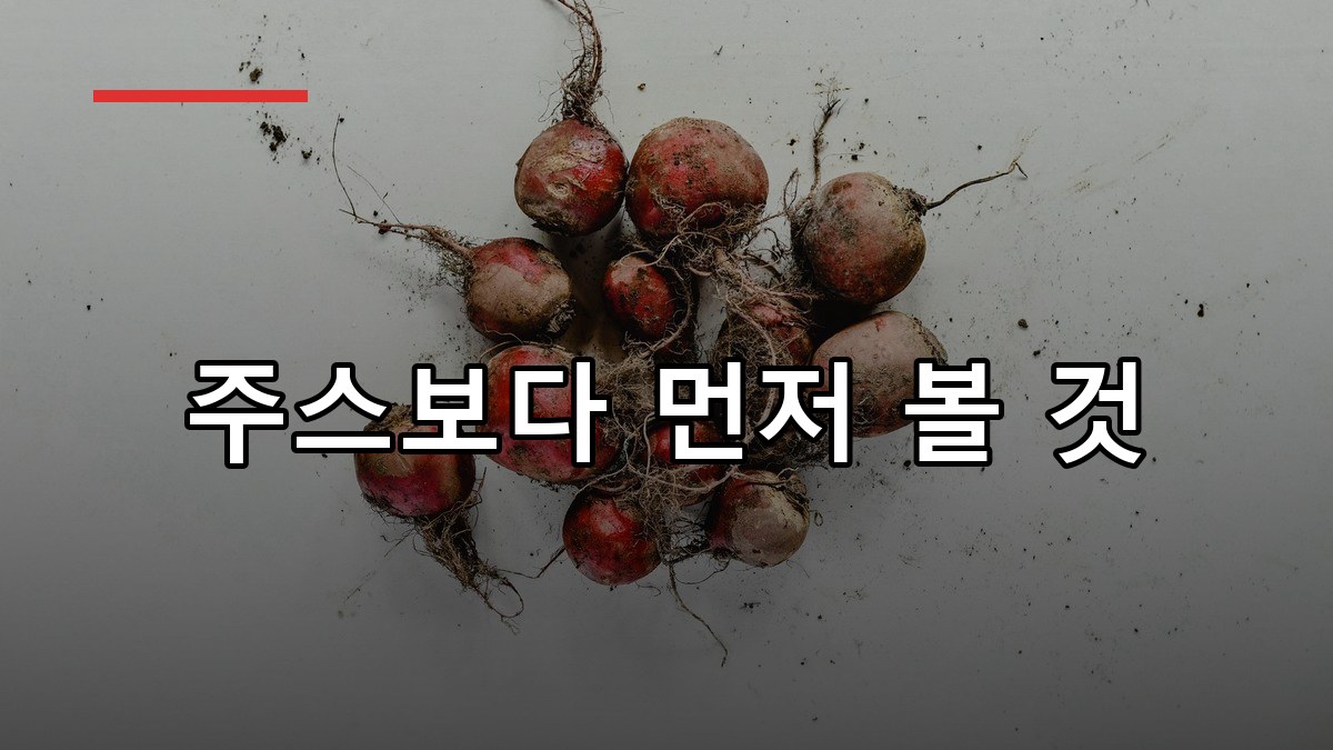 비트 효능부터 먹는법까지 2026 핵심 가이드