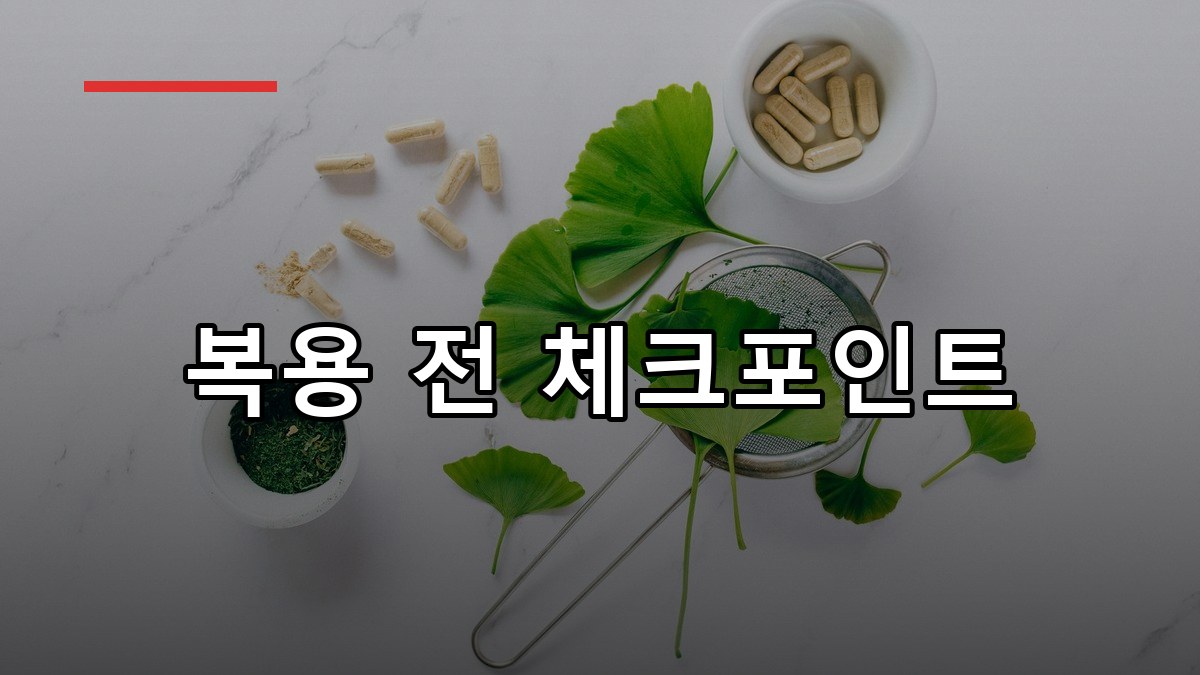 녹차추출물 효능·복용법·주의사항 2026 한눈에 정리