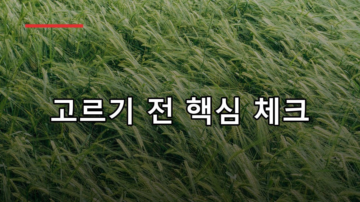 보리새싹 효능·복용법·부작용까지 한 번에 정리 2026