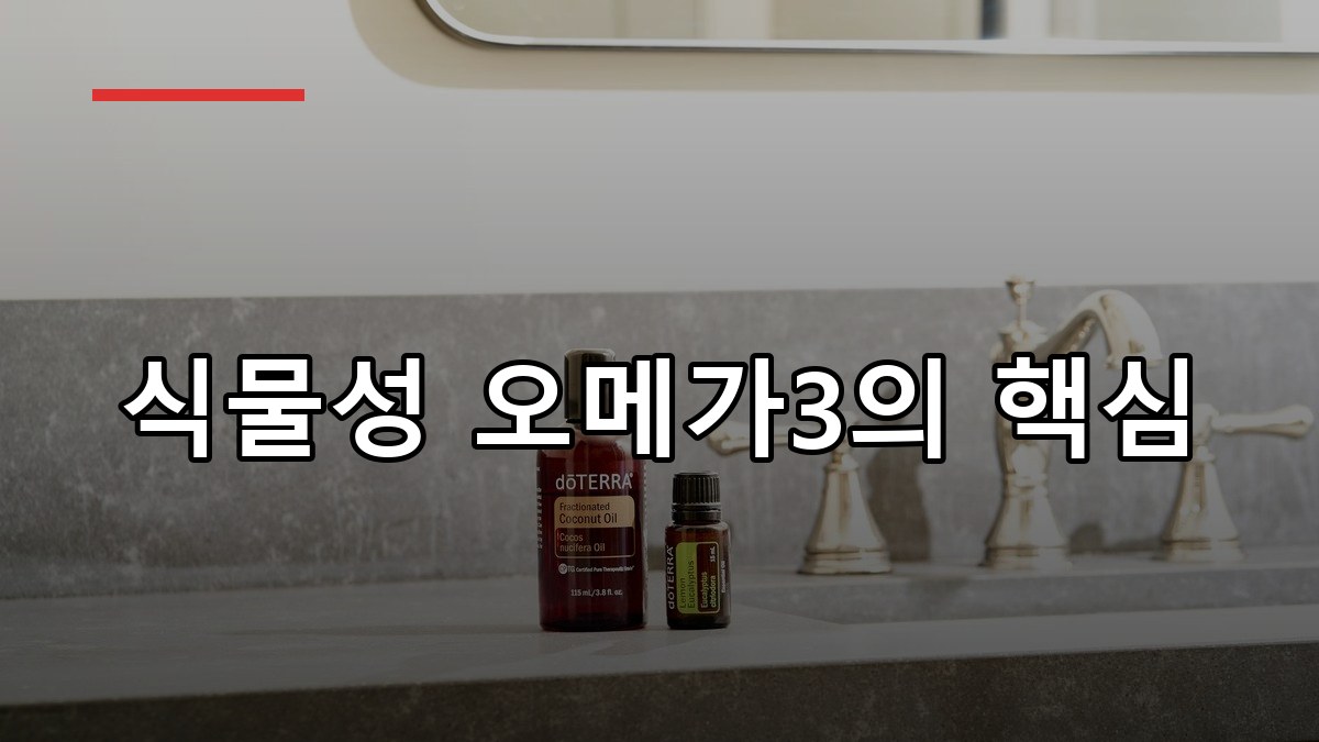아마씨유 효능·복용법·주의사항 2026 꼭 알아둘 8가지