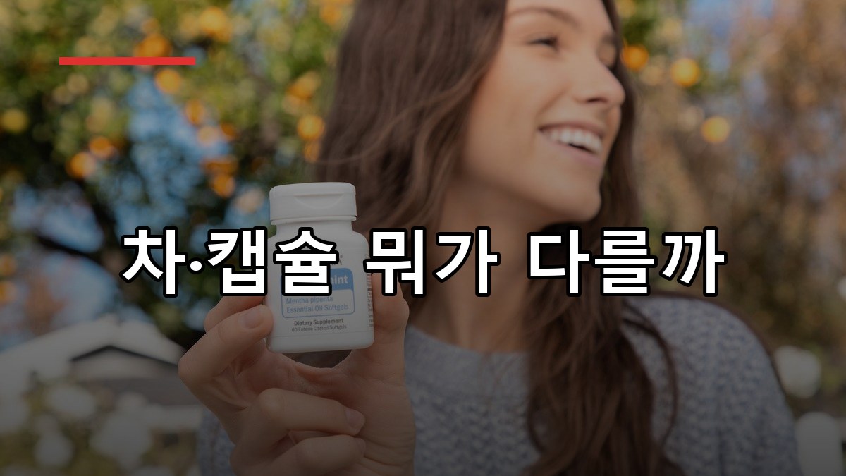 페퍼민트 효능·섭취법·주의사항 2026 한눈에 정리