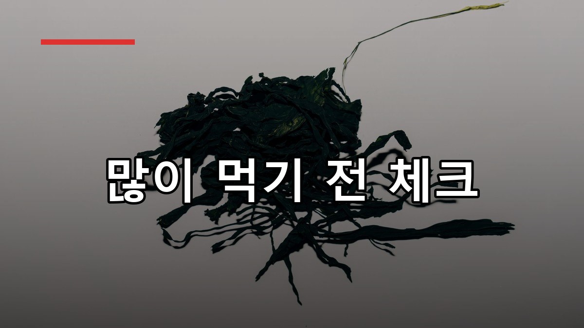 다시마 효능·영양·섭취법 2026 한눈에 정리