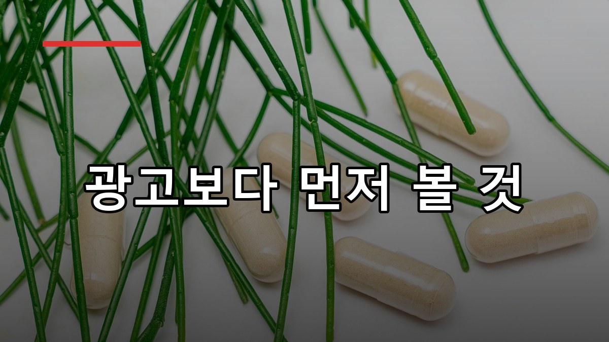 후코이단 효능·복용법·부작용 한 번에 보는 2026 가이드
