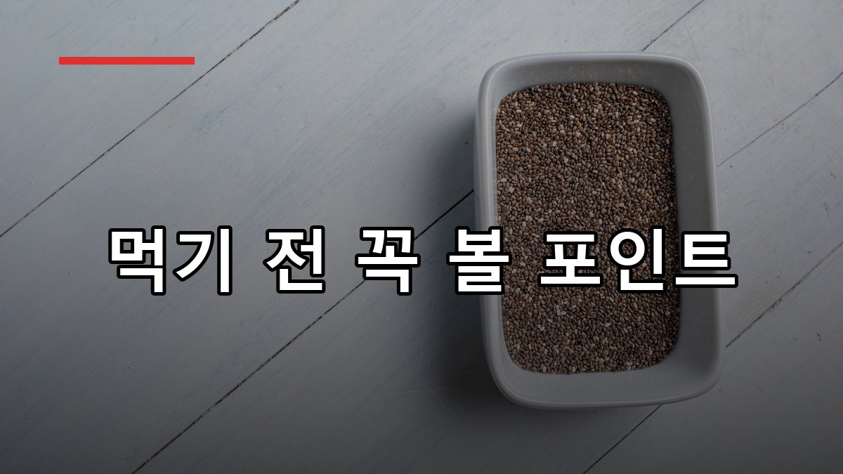 치아씨 효능·먹는법·부작용 2026 한눈에 정리