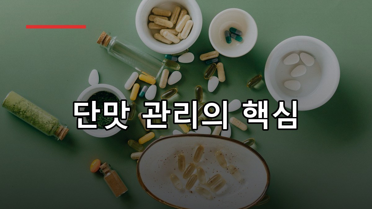 김네마 효능·복용법·부작용 한눈에 보는 2026 가이드