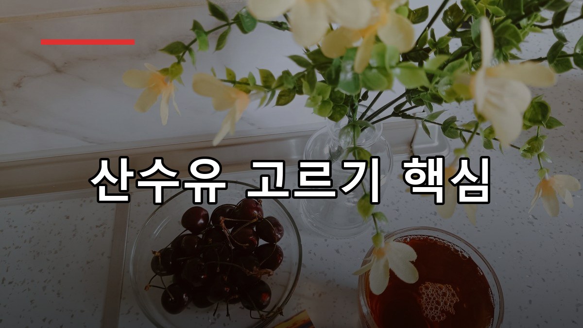 산수유 효능·먹는법·부작용 2026 꼼꼼 가이드