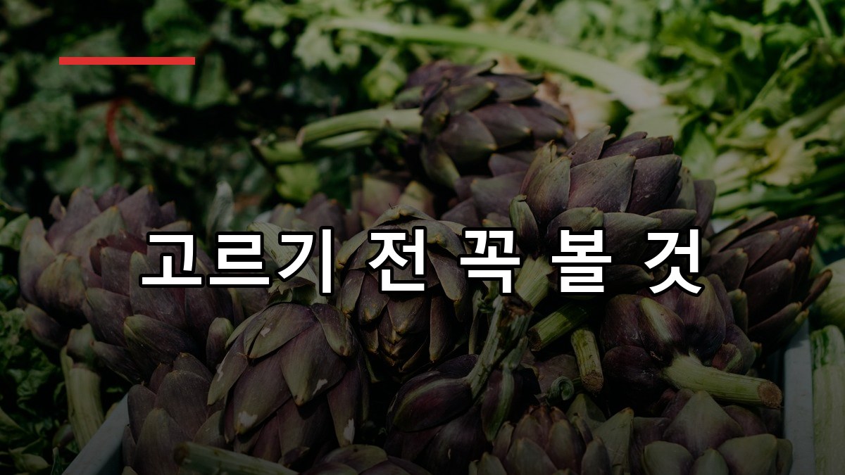 아티초크 효능·복용법·고르는 법 2026 한눈에 정리