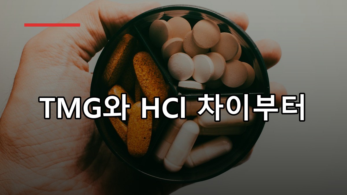 베타인 효능·복용법·부작용 한눈에 보는 2026 가이드