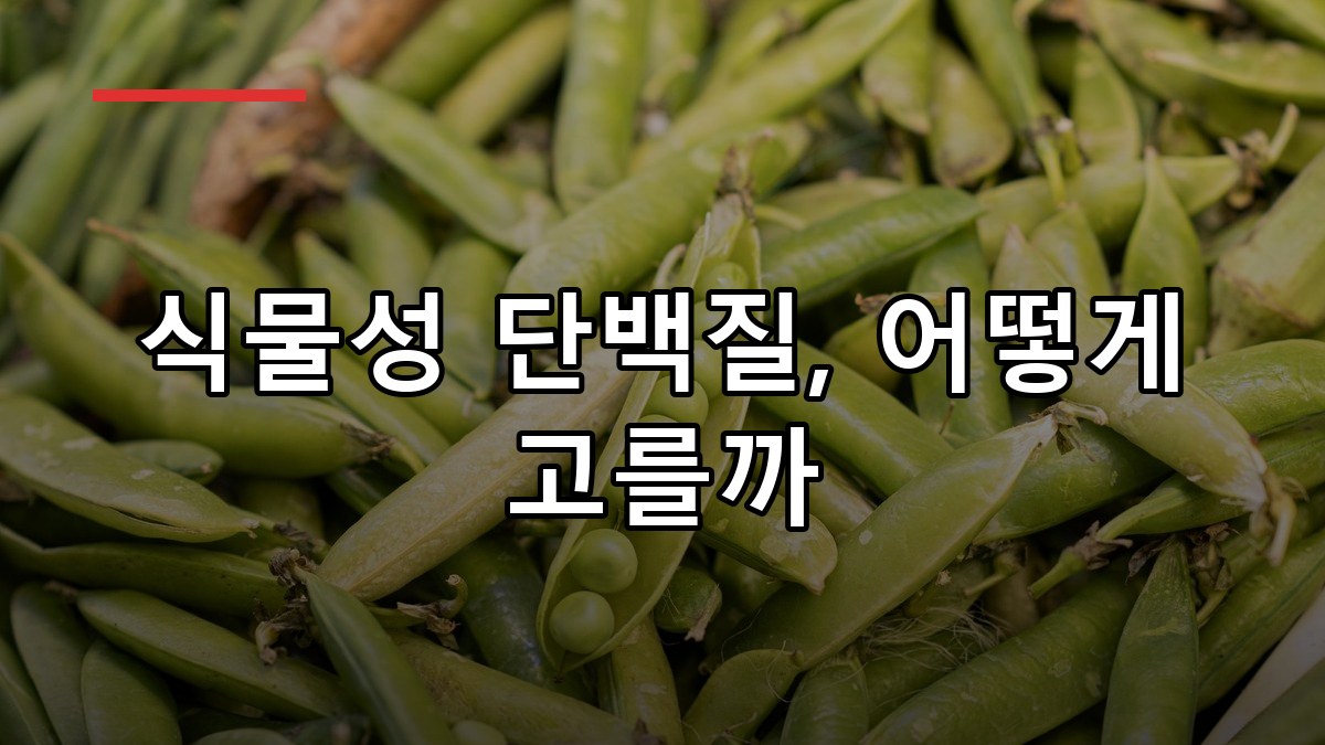 완두단백 효능·부작용·먹는법 2026 꼼꼼 가이드