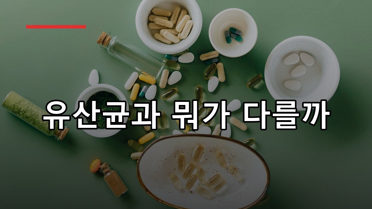 신바이오틱스 효능·복용법·고르는 법 2026 가이드