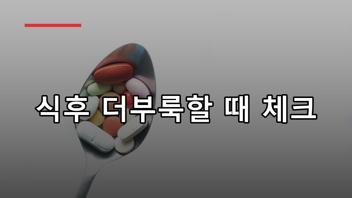 소화효소 효능부터 복용법까지 2026 꼼꼼 가이드