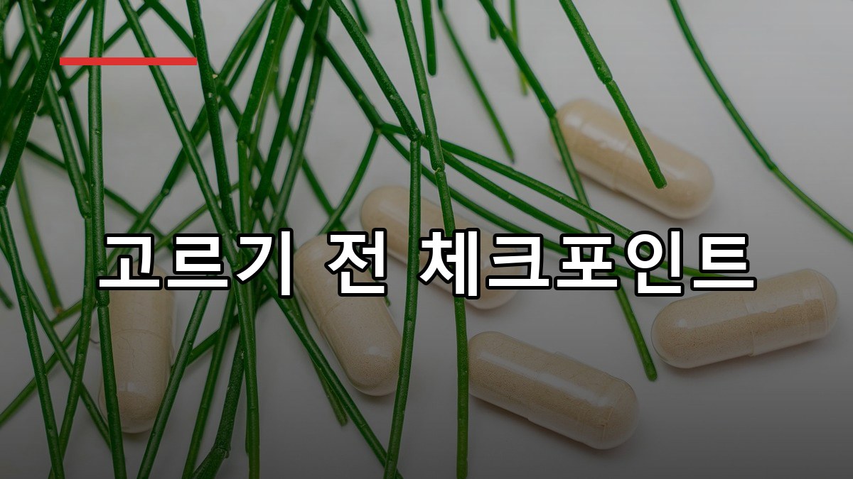 감마오리자놀 효능부터 복용법까지 2026 핵심 가이드