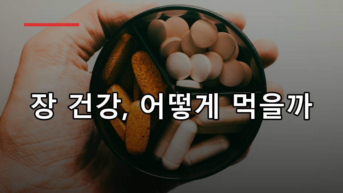 이눌린 효능·복용법·부작용까지 2026 꼭 알아둘 가이드